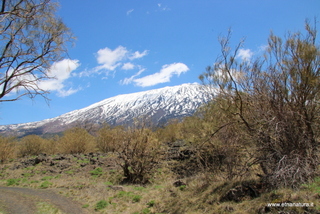 nte Egitto-29-04-2023 11-57-41